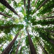 helderwetende Natasha- Hi, ik ben er voor jou voor als jij even de bomen door het bos niet meer ziet staan. Ik zet jou graag in je volle kracht en eigen energie stel jezelf a.u.b. ook open voor mij. Alleen dan kunnen wij samen kijken wat voor advies bij jou past en wat jouw toekomst jou mag brengen. Ik help je zeer graag bij een rouwproces of gemis van een dierbare. Wellicht mag ik wel een mooie boodschap aan u doorgeven. Mijn doel is om jou met een glimlach en inzicht achter het scherm vandaan te laten gaan en dat jij verder kunt met mijn inzichten. Spirituele hulplijn waar een helderwetende  je  spirituele en paranormale inzichten geeft. Helderwetenden geven direkt spiritueel en paranormaal advies.